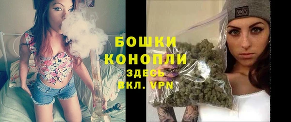 PSILOCYBIN Балахна
