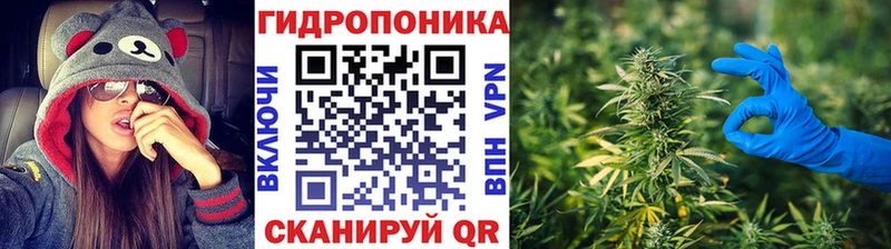 Бошки Шишки сатива Неман